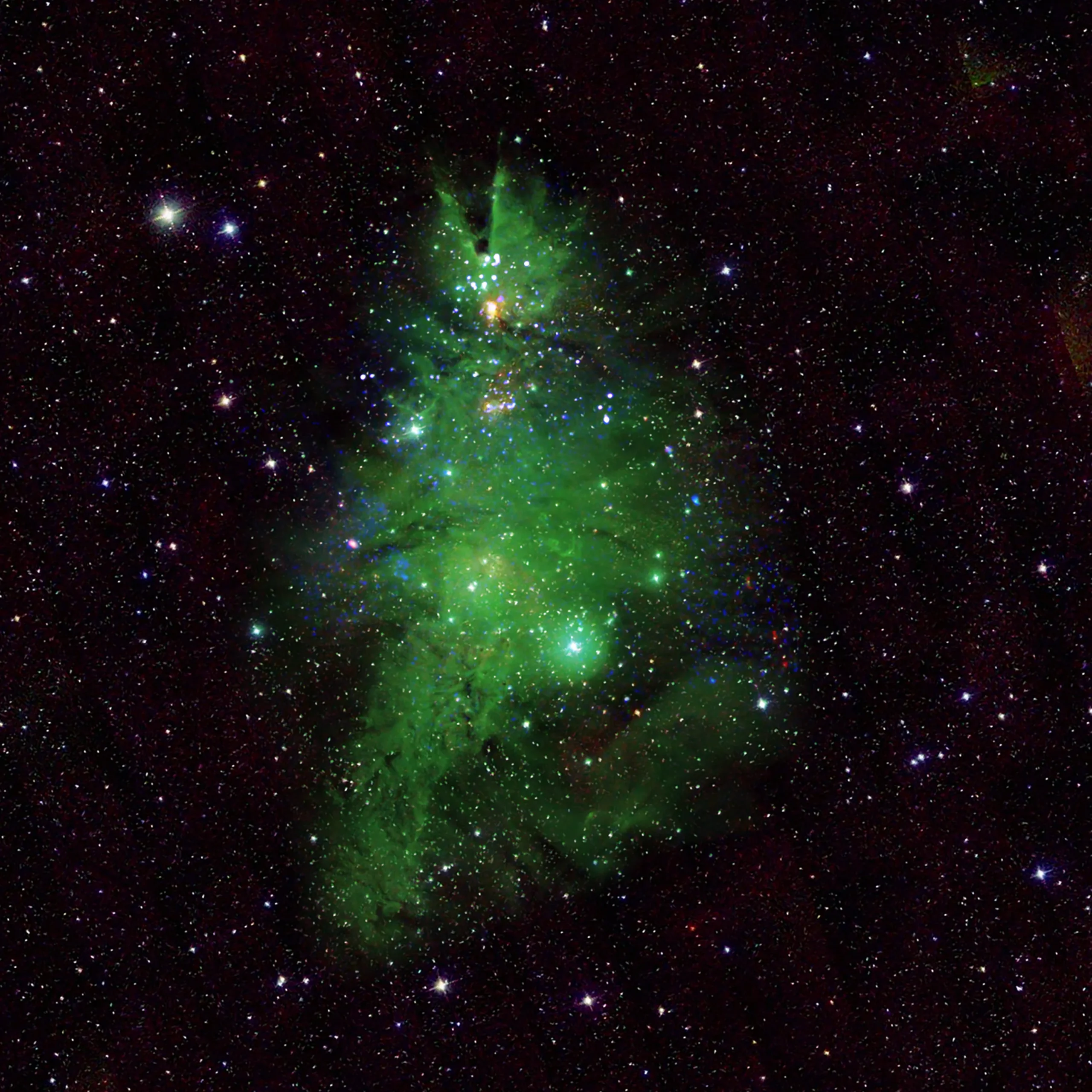 NASA Unveils Cosmic Christmas Tree in New Photo Ahead of the Festival