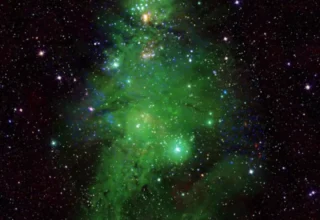 NASA Unveils Cosmic Christmas Tree in New Photo Ahead of the Festival