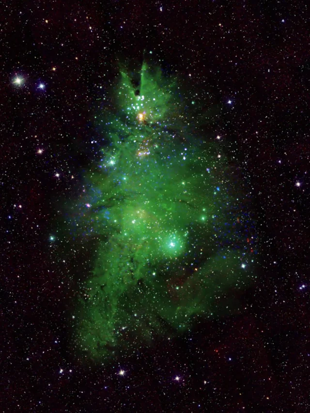 NASA Unveils Cosmic Christmas Tree