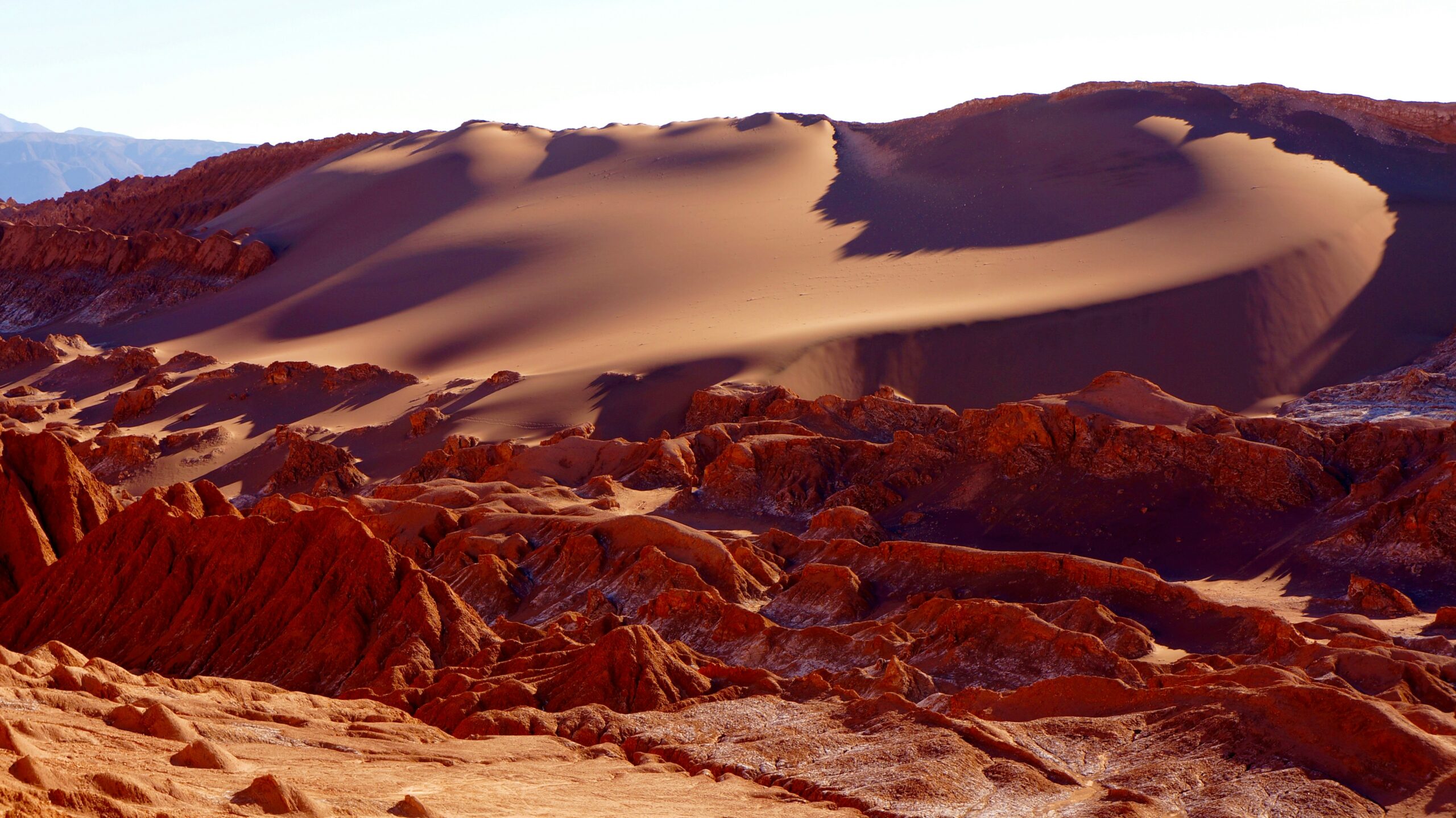 The Hidden World: Life and Adaptations in Earth's Driest Desert
